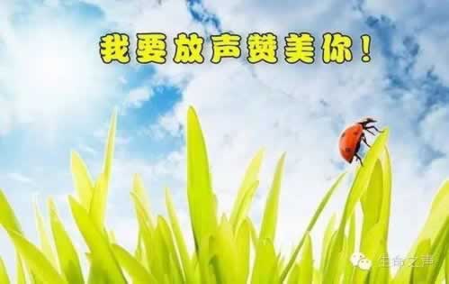 网络系统出款通道临时维护一直提不了款 操作策略(图)