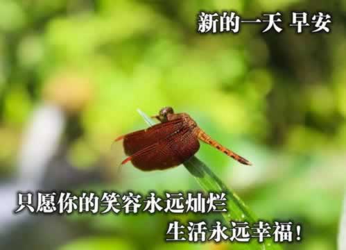 娱乐平台控审核提现失败被黑 破解方法（图）