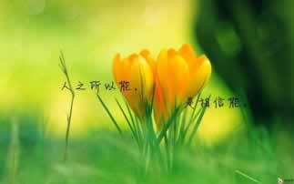 碰到网上平台提款提不出来取款碰到了怎么弄（图）