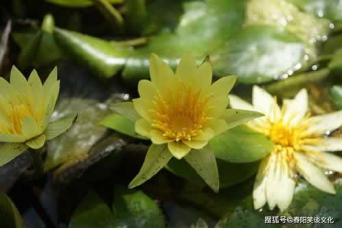 在平台上赢钱不给提款说注单异常 补救措施（图）