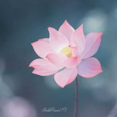 网上赢钱被黑码量不足不给出款怎么整（图）