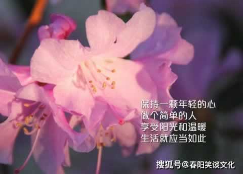 赢钱不给出款为什么不在赢得过程动手脚教你避免(图)