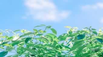 遇到被黑提款失败 处理对策（图）