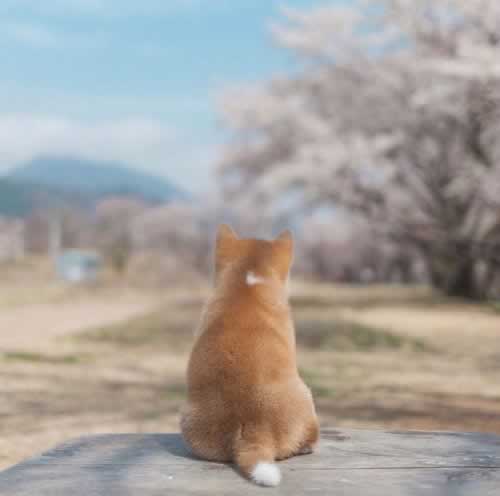 不让提现无法提款失败退回 处理思路（图）