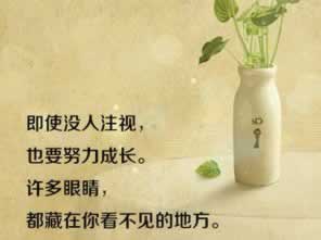 黑网通道维护升级出款不了 化解对策（图）