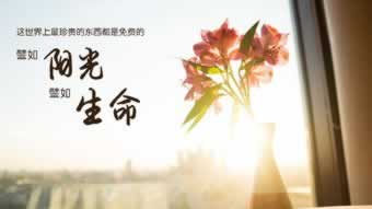 网上提款通道审核升级一直不给出款 解决方案（图）