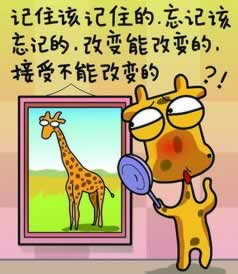 网上赢了视讯数据未传回 操作方法（图）