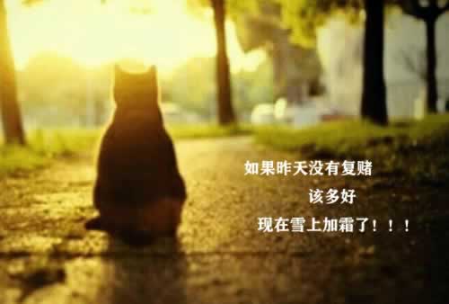 在黑网站维护提现不了 处理对策(图)