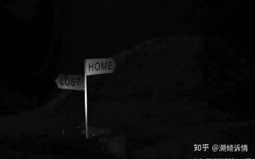 专业处理平台不给提现 解决办法（图）